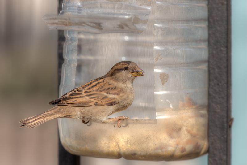 Secrets to a Sparkling Pre-party Clean